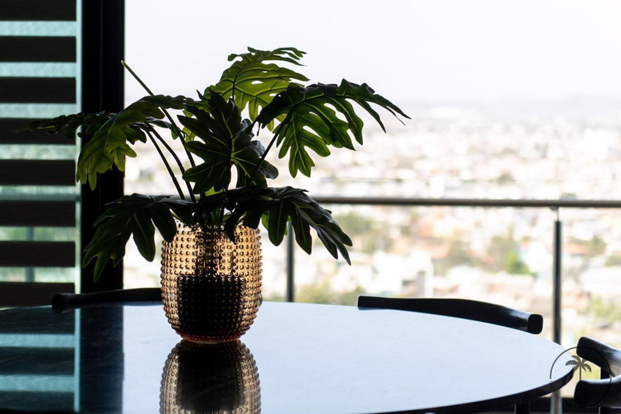 Nuevo Departamento En El Malecon! Lägenhet Mazatlán Exteriör bild